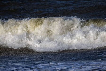 Foamy wave.の写真素材