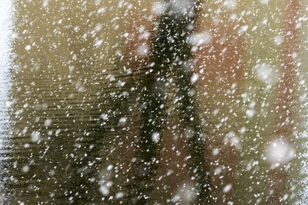 Little snowfall in spring time.の写真素材