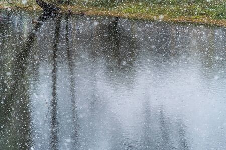 Little snowfall in spring time.の写真素材