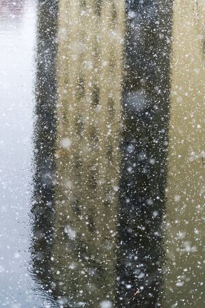 Little snowfall in spring time.の写真素材