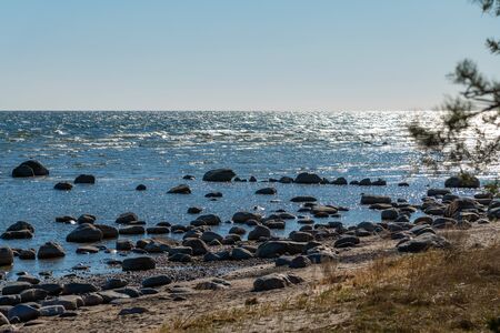 Stones at coast of gulf of Riga, Latvia.の写真素材
