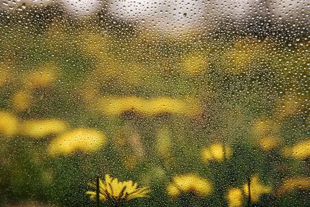 Water drops on window and rural landscape.の写真素材