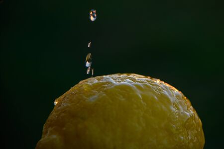 Lemon washing in sunset time.の写真素材