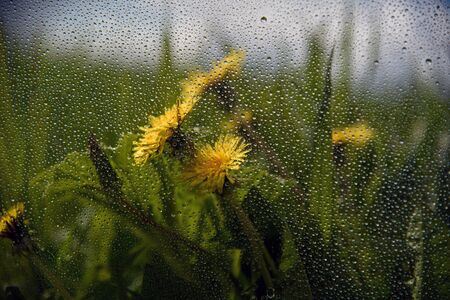 Water drops on window and rural landscape.の写真素材
