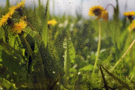 Water drops on window and rural landscape.の写真素材