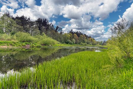 Barta river in west Latvia.の写真素材