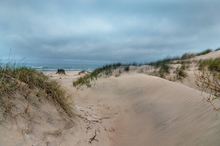 Baltic sea dunes , Liepaja, Latvia.の写真素材