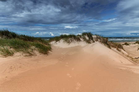 Dunes at Baltic sea coast in Liepaja, Latvia.の写真素材