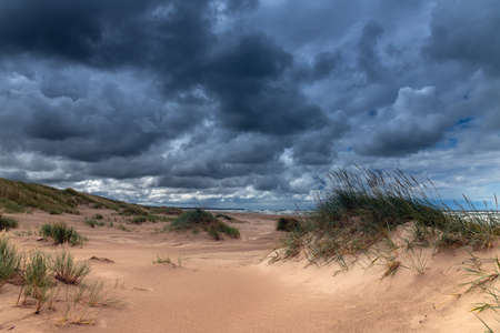 Dunes at Baltic sea coast in Liepaja, Latvia.の写真素材