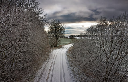 Little snow on land in cold december day, countryside of Latvia.の写真素材