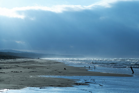 Baltic sea coast in sunny december day.の写真素材