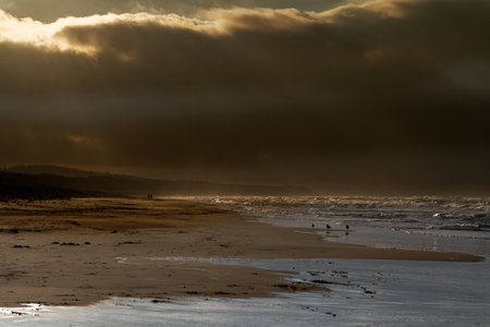 Baltic sea coast in sunny december day.の写真素材