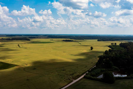 Fields and clouds in summer afternoon.の写真素材