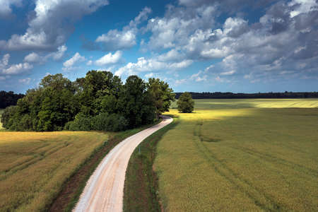 Fields and clouds in summer afternoon.の写真素材