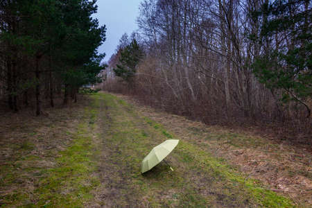 Alone umbrella in countryside landscape.の写真素材