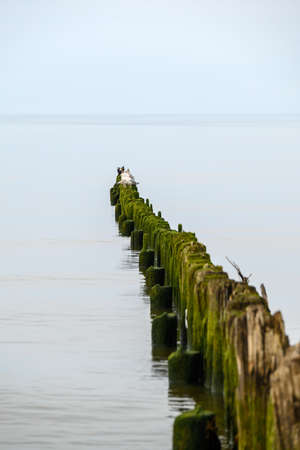 Old fishing boat pier in Baltic sea in Nida, Latvia.の写真素材