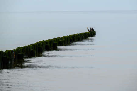 Old fishing boat pier in Baltic sea in Nida, Latvia.の写真素材