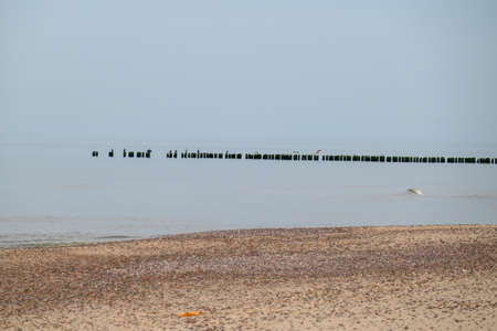 Old fishing boat pier in Baltic sea in Nida, Latvia.の写真素材