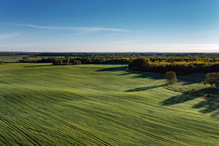 Spring morning landscape in countryside of northern Latvia.