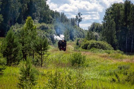 Narrow gauge train with a steam locomotive on the line Gulbene - Aluksne, Latvia.の写真素材