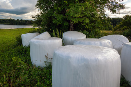 Silage rolls in green meadow.の写真素材