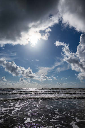 Windy day by Baltic sea, Liepaja, Latvia.の写真素材