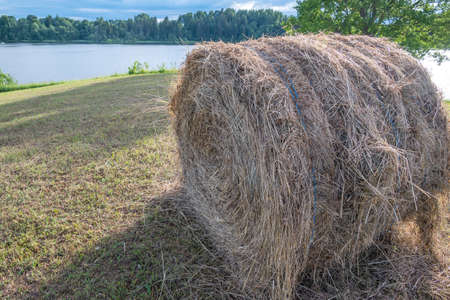 A roll of hay on a hill in a meadow.の写真素材