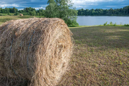 A roll of hay on a hill in a meadow.の写真素材