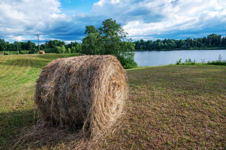 A roll of hay on a hill in a meadow.の写真素材