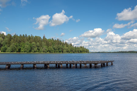 Sea gulls on footbridge in lake.の写真素材