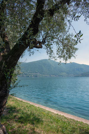 Iseo lake coast in spring time, Italy.の写真素材