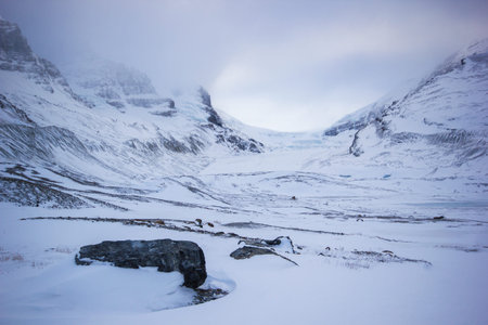 Ice and rocks slowly melting from the huge athabasca galcier under cloudy sky, Banff National Park,...