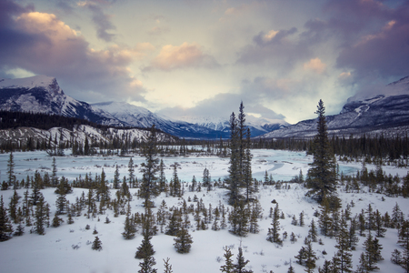 Frozen river valley with small trees covered by snow and high mountains around under cloudy sky, Banff, national park, Canadaの写真素材