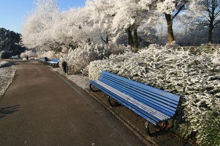 Benches and frozen trees in the park in winterの写真素材
