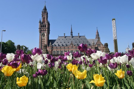 Flowers and Peace Palace aka UN International Court of Justice in The Hague, Hollandの写真素材