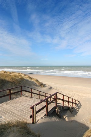 Stairway to the beach in summerの写真素材