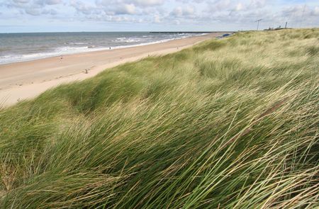 Dunes on the Dutch coast in springの写真素材