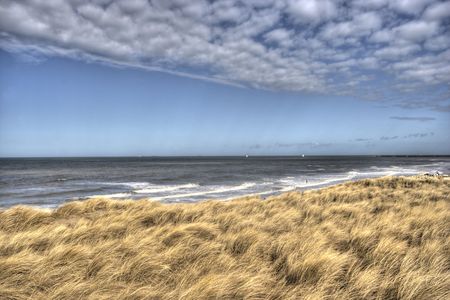 Dunes on the Dutch coast in spring timeの写真素材