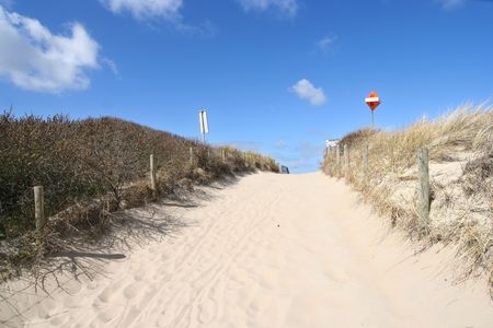 Path across the dunes to the beachの写真素材