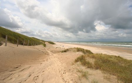 Dunes and beach on the Dutch coastの写真素材