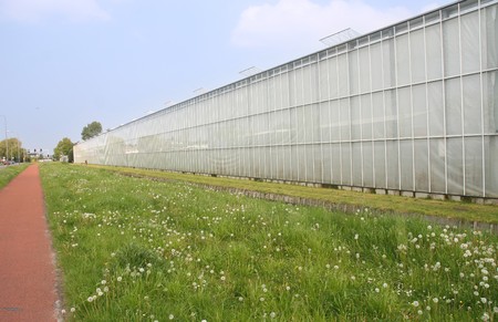Greenhouses in Hollandの写真素材