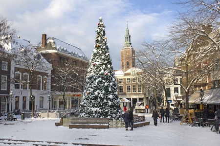 Large Christmas tree in the snow in The Hague, Holland on December 20, 2010のeditorial素材