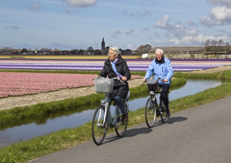 Elder couple cycle through the flower fields in Holland. Picture taken on April 15, 2012のeditorial素材