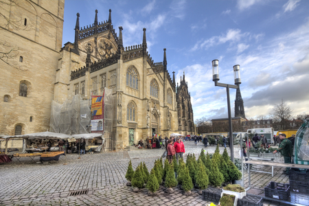 Munster, Germany - December 23, 2015: People look at christmas trees for sale in the market in front of the Munster Saint Paul's Dom in Munster, Germany on December 23, 2015のeditorial素材