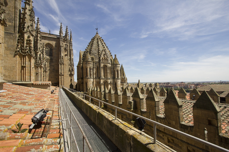 The Old Cathedral of Salamanca, Spain, picture taken on the roofの写真素材