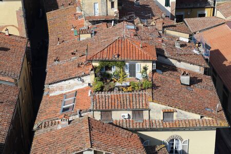 Roof garden of a house and tiled roofs of other houses in Lucca, Italyの写真素材