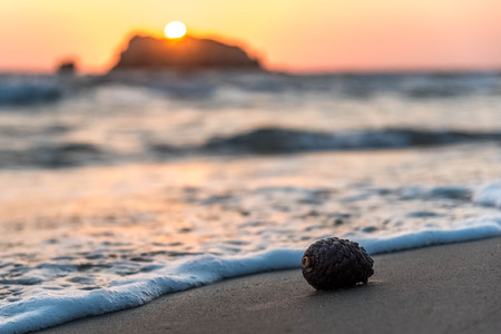 Lonely pine cone at the beach in sunset light in Lefkada, Greeceの写真素材