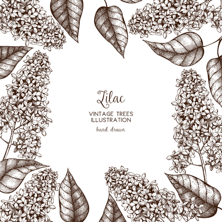 Vector card or invitation design with hand drawn floral sketch. Blooming lilac tree illustration. Vintage springtime background.のイラスト素材
