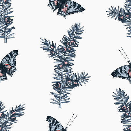 butterflies and Yew sketch patternのイラスト素材