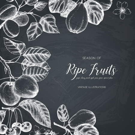 Vintage fruits card design on chalkboardのイラスト素材